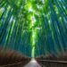10 Tempat Indah Jepang yang Bikin Kamu Nyesel Nggak Travelling dari Dulu!